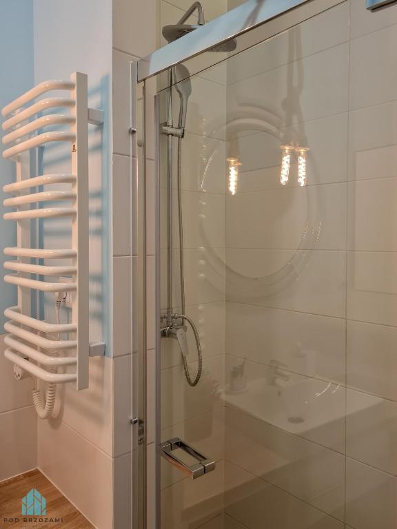 Pod Brzozami Apartamenty Dwie Sosny - Apartamento De Una Habitación