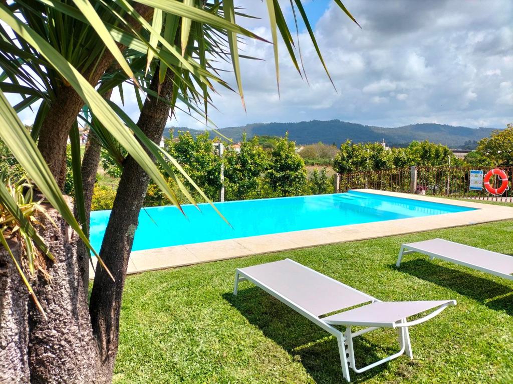 a villa with a pool and a palm tree at Quinta de Castelhão in Barcelos