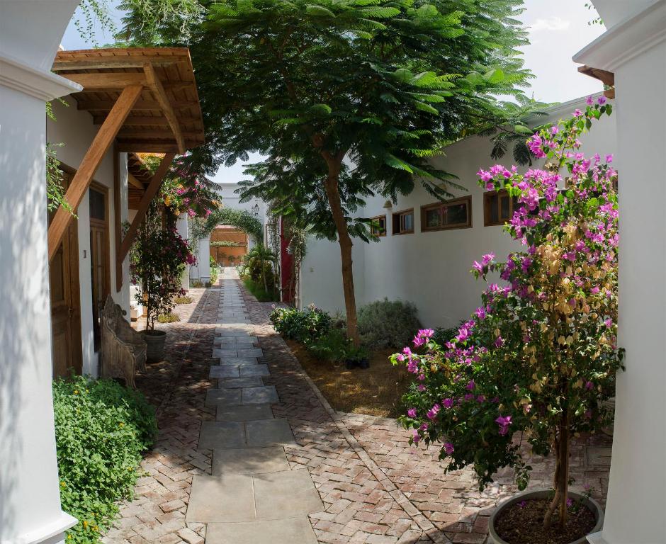 Zahrada ubytování Hotel Viñas Queirolo
