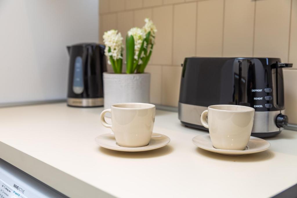 Apartmani Artqart Rijeka - 9