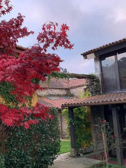 Fotografie z fotogalerie ubytování Hotel rural casal de mouros v destinaci A Coruña