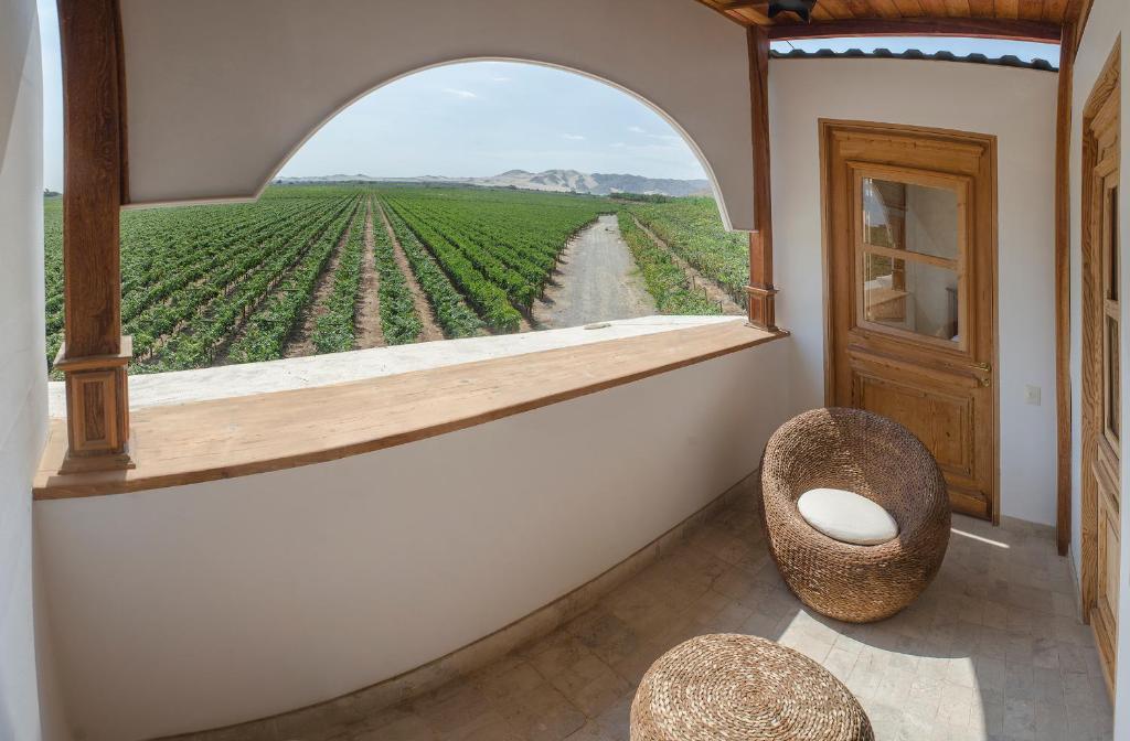 Fotografie z fotogalerie ubytování Hotel Viñas Queirolo v destinaci Ica