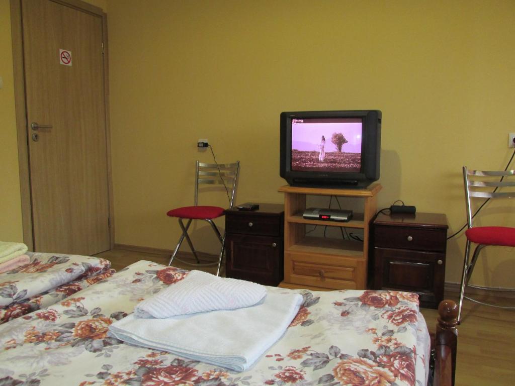 TV a/nebo společenská místnost v ubytování Pri Orehite Guesthouse