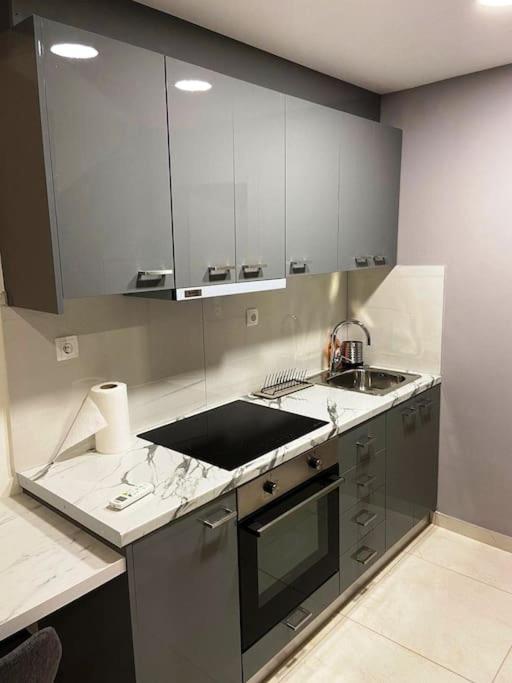Kuchyňa alebo kuchynka v ubytovaní Luxury Loft Kalu Tsesme B