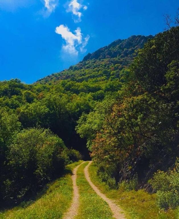 a dirt road in the middle of a mountain at Apartmani Dumezic in Bar
