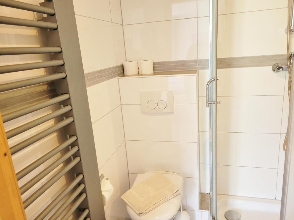 a bathroom with a shower and a toilet at Pension Landhaus Teichgraf in Wolgast