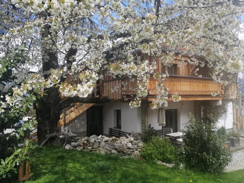 a house with a tree with white flowers on it at Appartement Seppi in Innsbruck