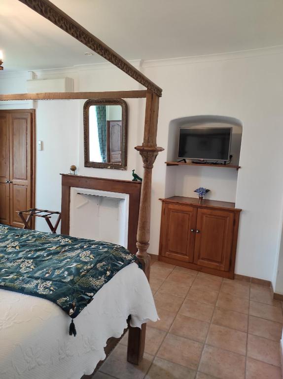 TV a/nebo společenská místnost v ubytování Logis Hôtel Restaurant Gîte La Bastide du Vébron