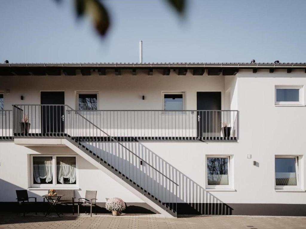 Rheinzeit-Weisweil - 19