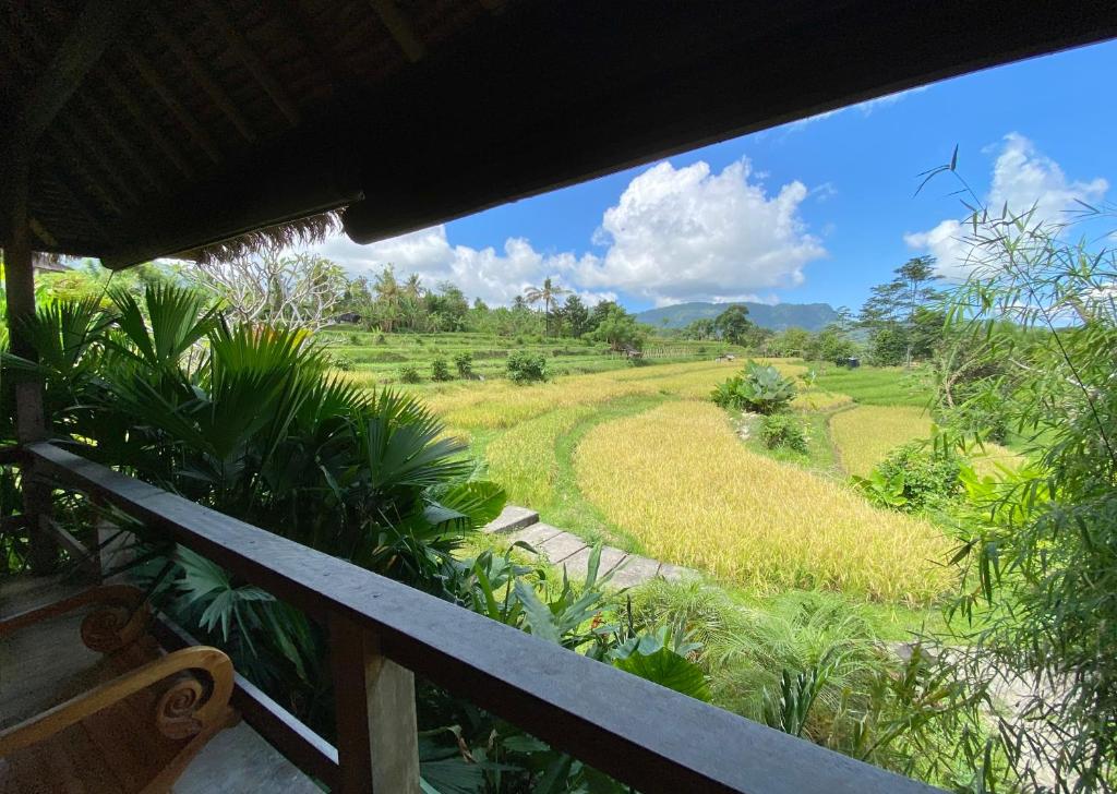 Sawah Indah Villa - 10