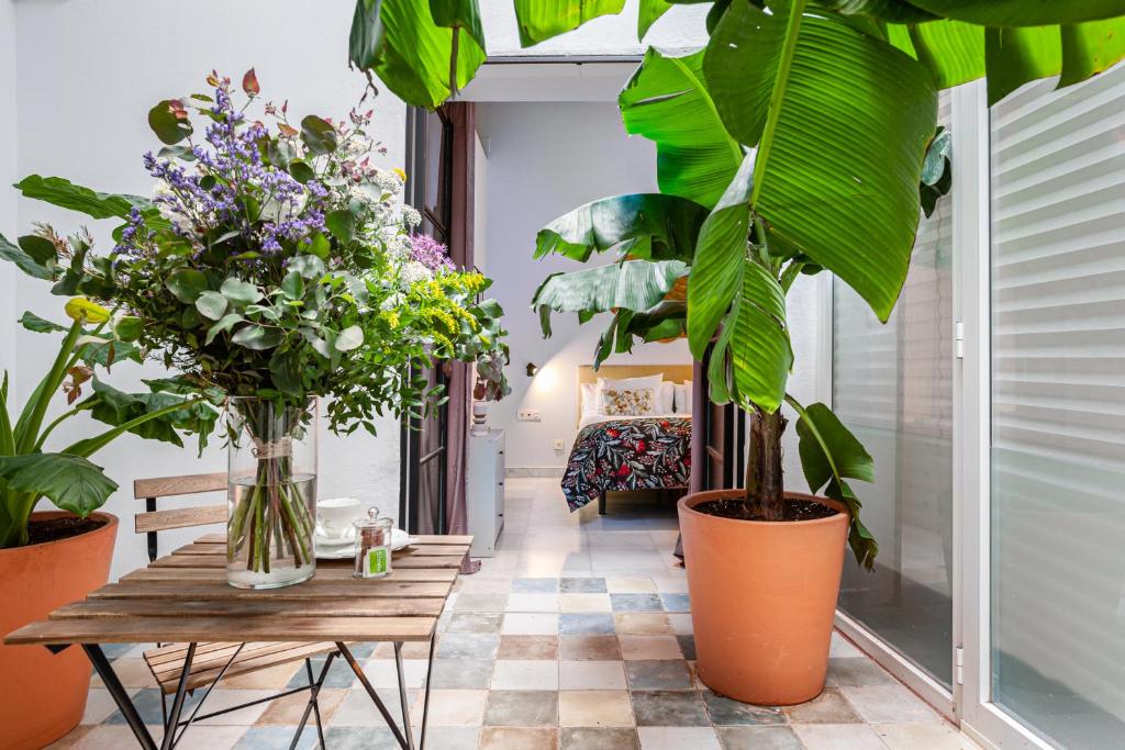 Zahrada ubytování Art Suites by Casa de Indias
