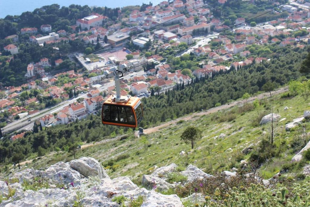Príroda v okolí apartmánu