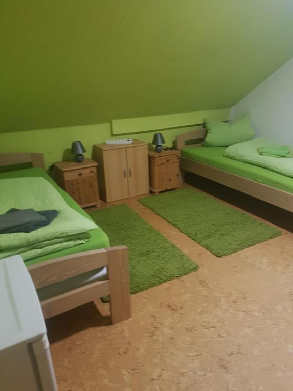 a green room with two beds and green rugs at Wohnung Bornstraße in Freigericht