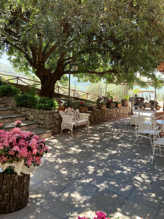 un patio con mesas, sillas y un árbol en Agriturismo Nonno Luigino, en Vico Equense