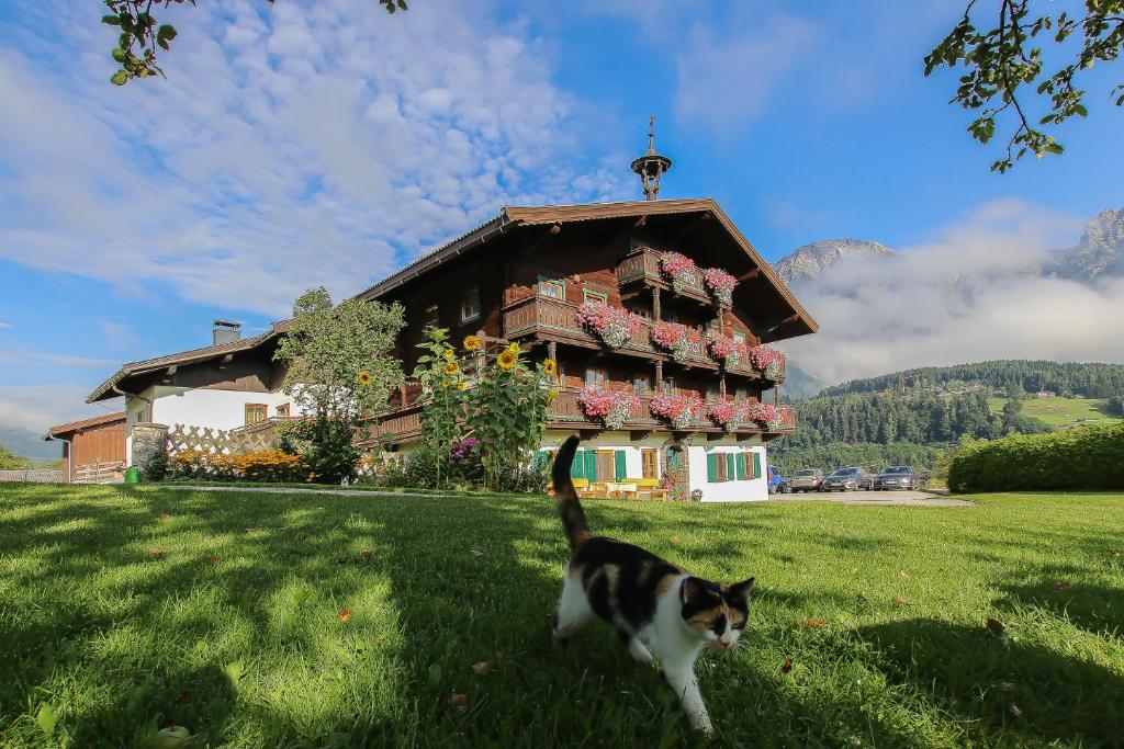 Príroda v okolí of the bed and breakfast