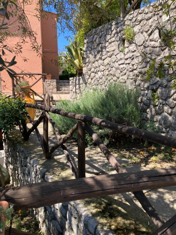 Agriturismo Nonno Luigino - 4