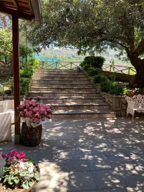 Agriturismo Nonno Luigino - 10