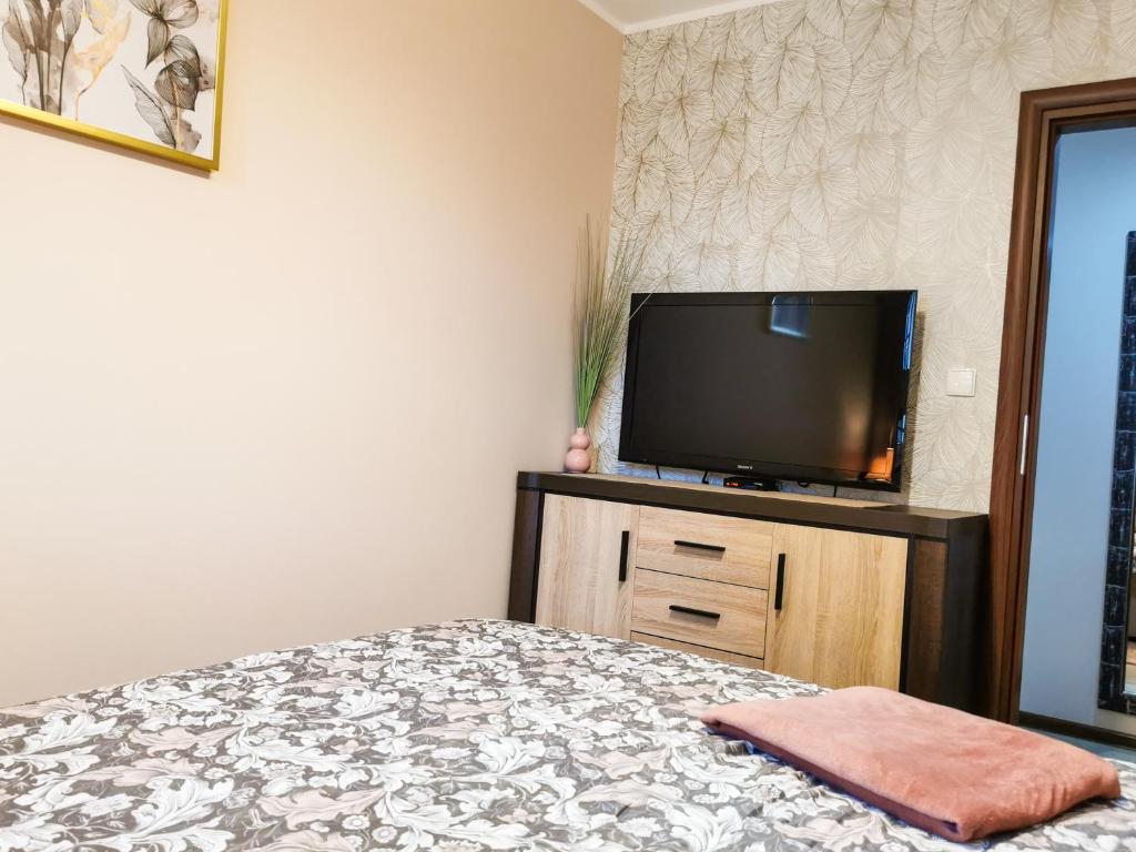 Televízia a/alebo spoločenská miestnosť v ubytovaní Markowe Apartamenty Złoty Park
