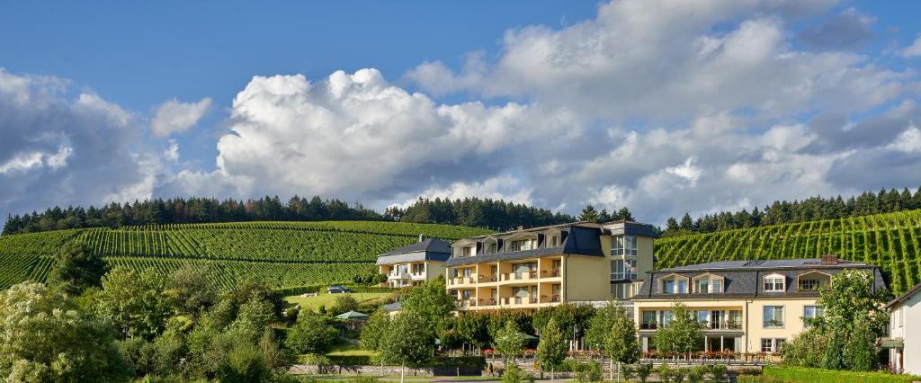 a building in the middle of a vineyard at Hotel Weis in Mertesdorf