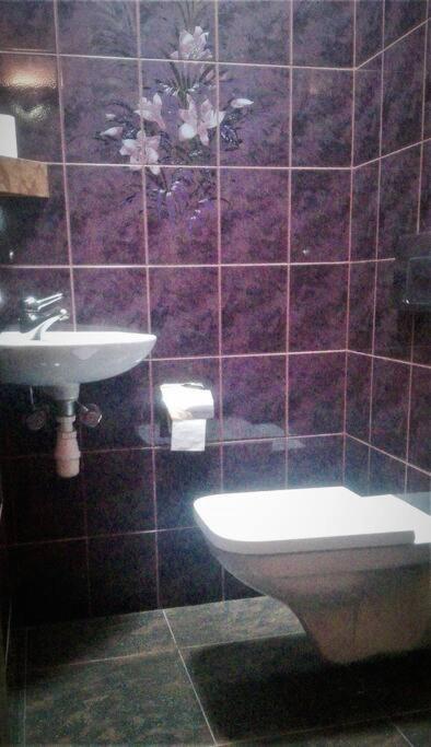 Kúpeľňa v ubytovaní Dom Stegny