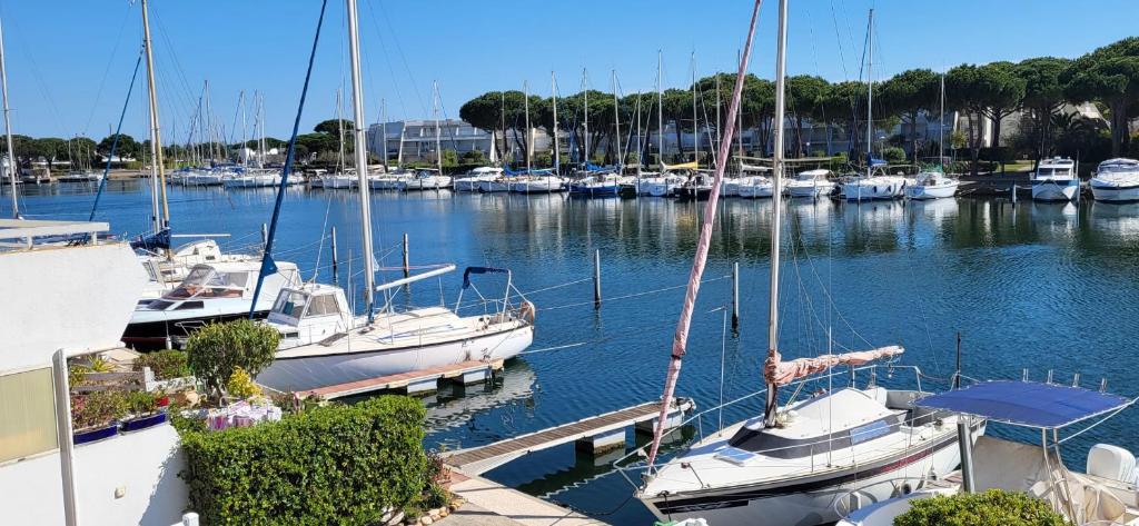 Marina Lairan View of the water and the boats of Port Camargue, Le  Grau-du-Roi – Updated 2023 Prices