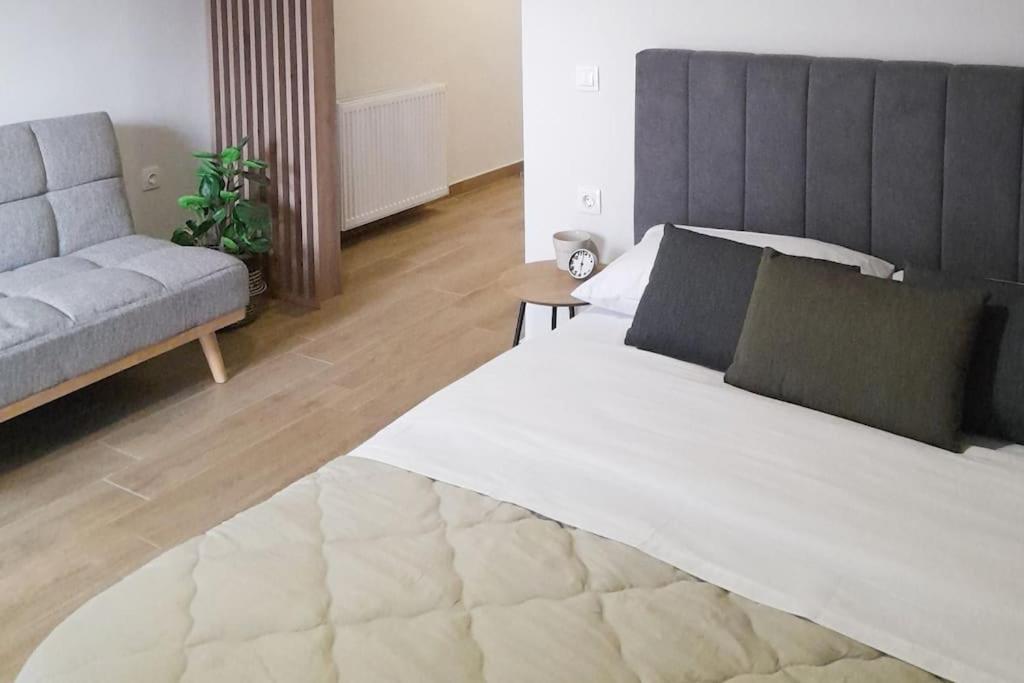 a bedroom with a large bed and a couch at DownTown _ LeveL 5 in Tríkala