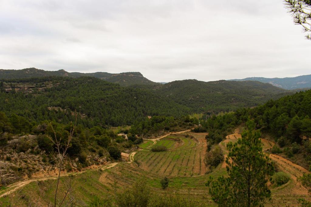 Torre del Marqués Hotel Spa & Winery - Small Luxury Hotels - Superior Chalet