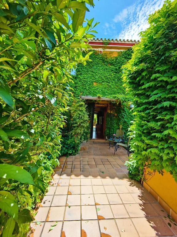 Zahrada ubytování Hotel Doñana Blues