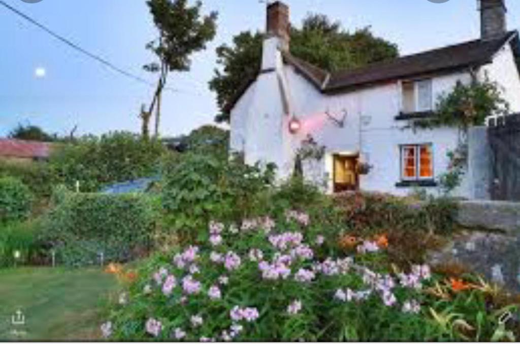 a white house with flowers in front of it at The Northmore Arms in Throwleigh
