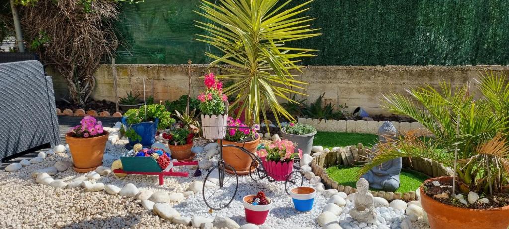 un jardin avec des plantes en pot et un fauteuil roulant dans une cour dans l'établissement Studio Le Lavandou, au Lavandou
