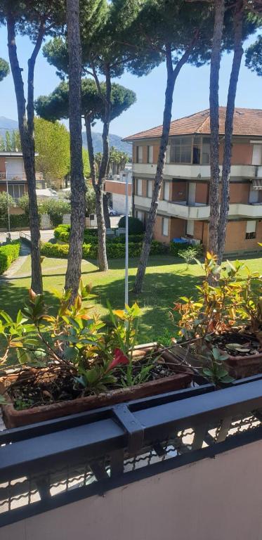 Vonkajšia záhrada v ubytovaní Carachouse-Lido di Camaiore, tra pini marini e mare