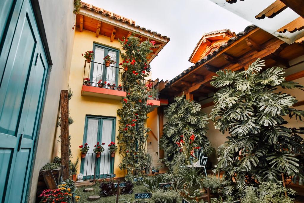 un edificio con plantas delante de él en Casa Lum, en San Cristóbal de Las Casas