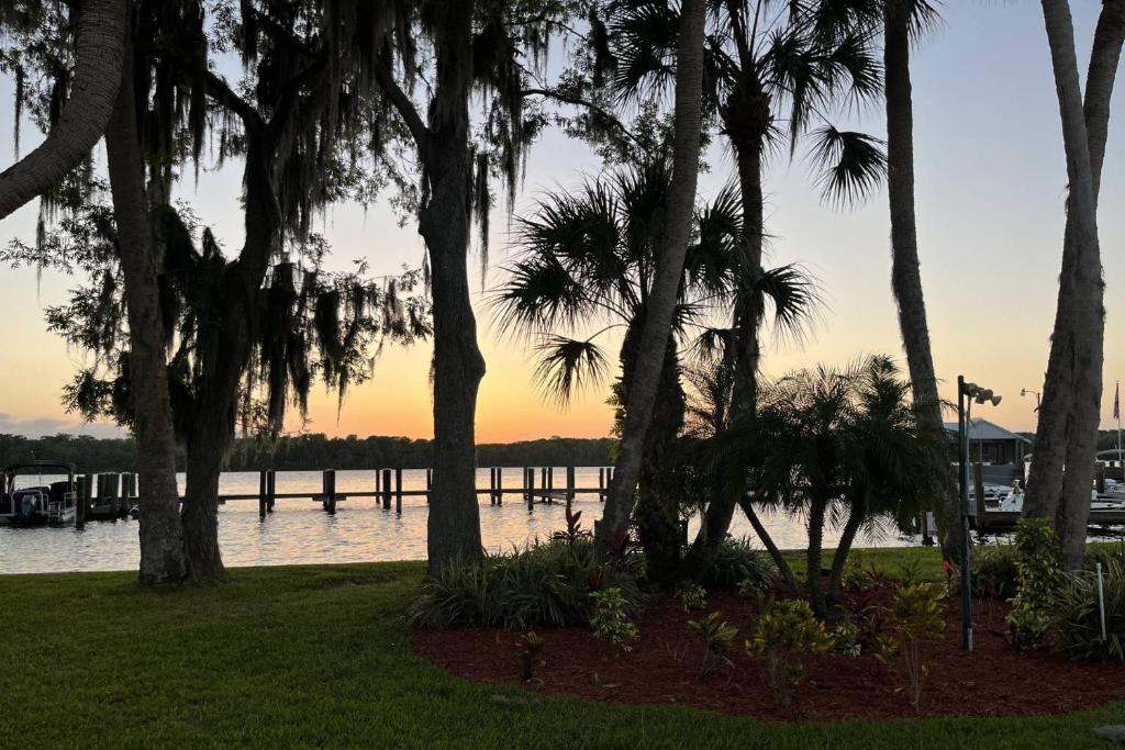 a view of a body of water with palm trees at River Bend B212 in Welaka