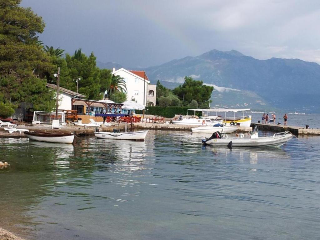 grupa łodzi w zbiorniku wodnym w obiekcie Herceg Novi w mieście Herceg Novi