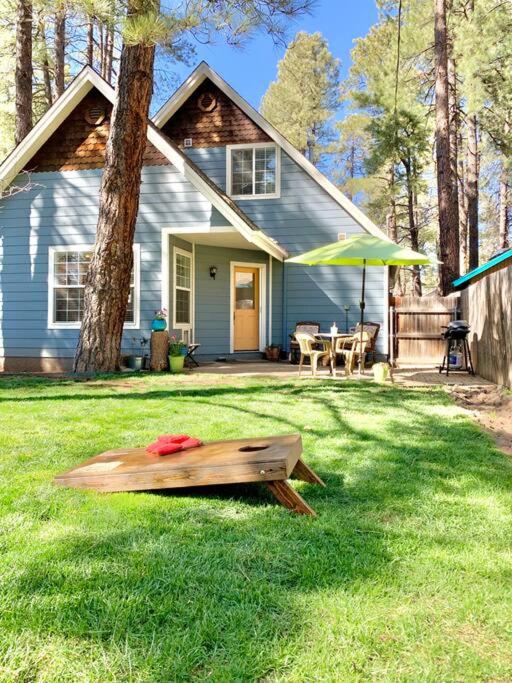 a house with a bench in the grass in front of it at The Comforts' Inn: Mountain Escape in Mountainaire
