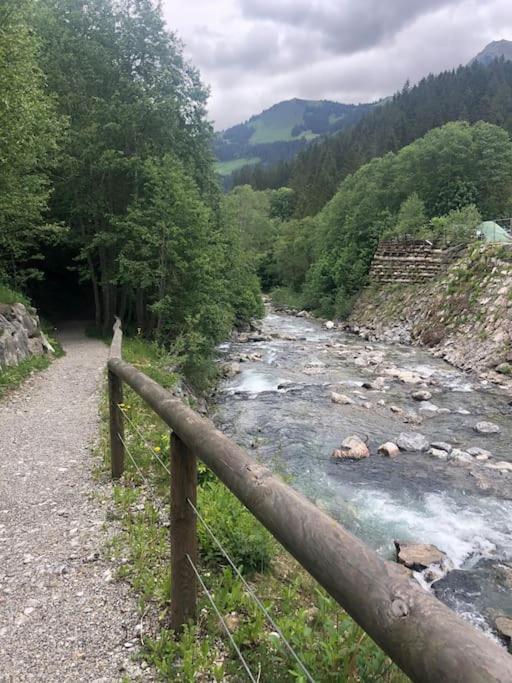Príroda v okolí apartmánu