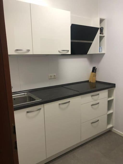 Kuchyňa alebo kuchynka v ubytovaní Groot appartement in Aparthotel met prachtig uitzicht