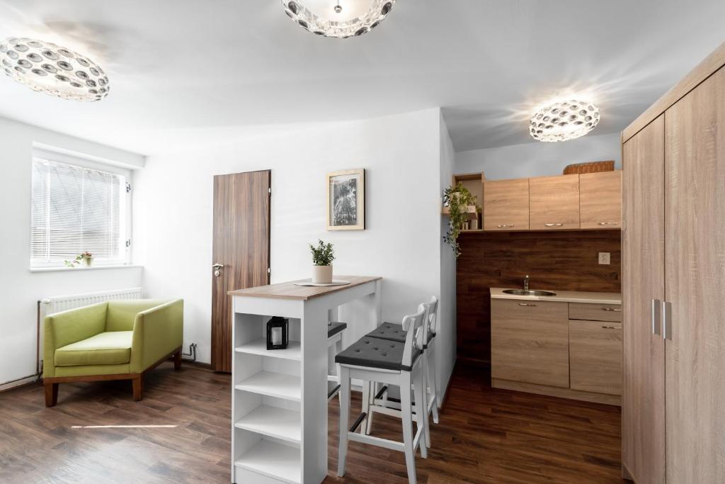 Kuchyň nebo kuchyňský kout v ubytování Pension Lesná
