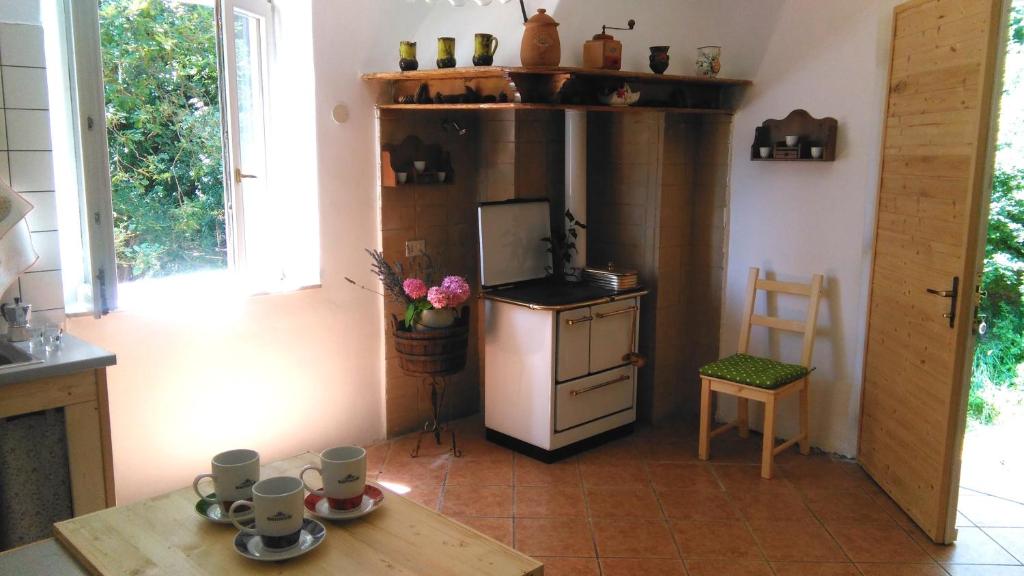 ムッジャにあるAgriturismo Bosco Fioritoのキッチン(コンロ、テーブル、カップ付)