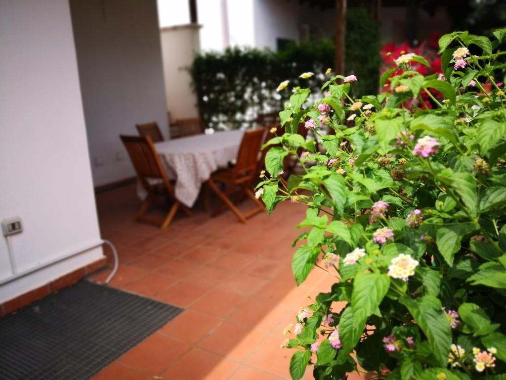 Ogród w obiekcie Villetta Porto Selvaggio