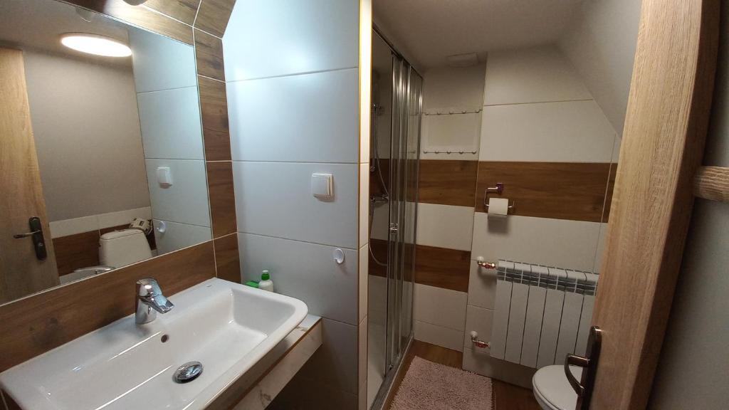 Domek u Gąsieniców 1 - pokoje gościnne - 11