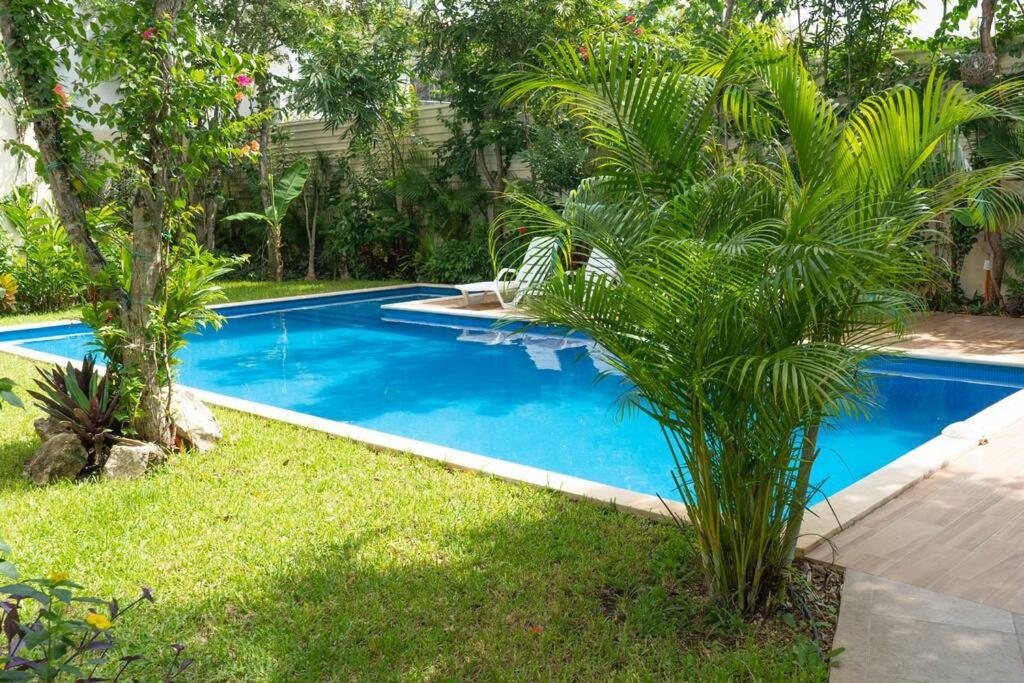 a blue swimming pool in a yard with palm trees at Oceanblue by Andiani Travel in Playa del Carmen