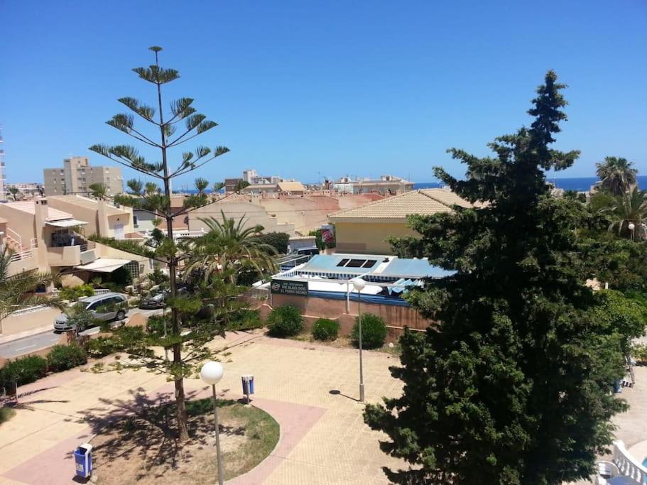 widok na miasto z drzewami i budynek w obiekcie Estudio en Torrevieja a 700 m del mar w mieście Torrevieja