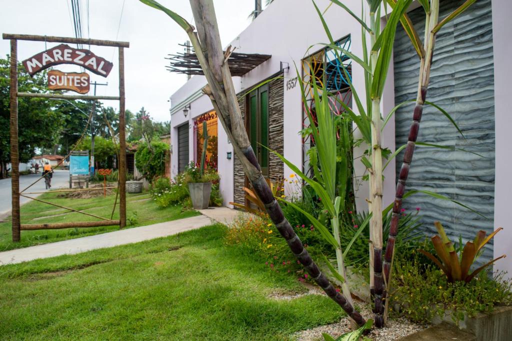 a small palm tree in front of a building at Marezal Suítes in Pôrto de Pedras