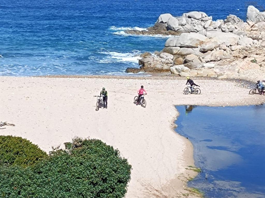 um grupo de pessoas a andar de bicicleta na praia em Bed and Bike Antico Mulino em Aglientu