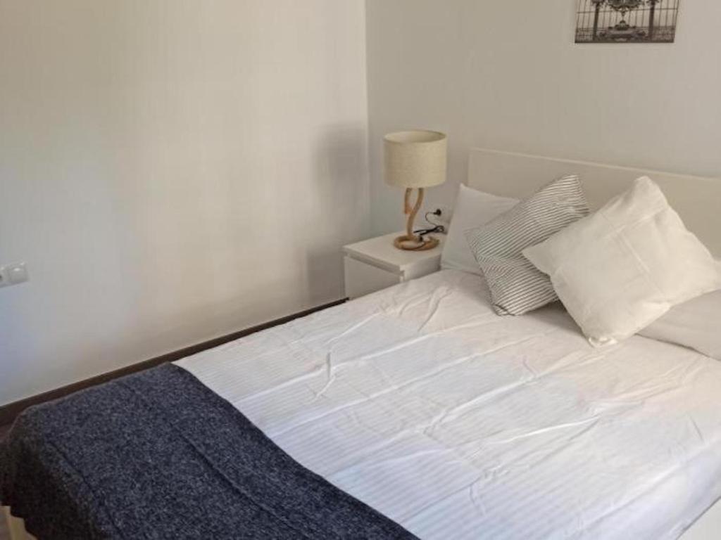 Holidays2Malaga Reyna Manescau 2d- Zona Huelin & 450 mts de ...