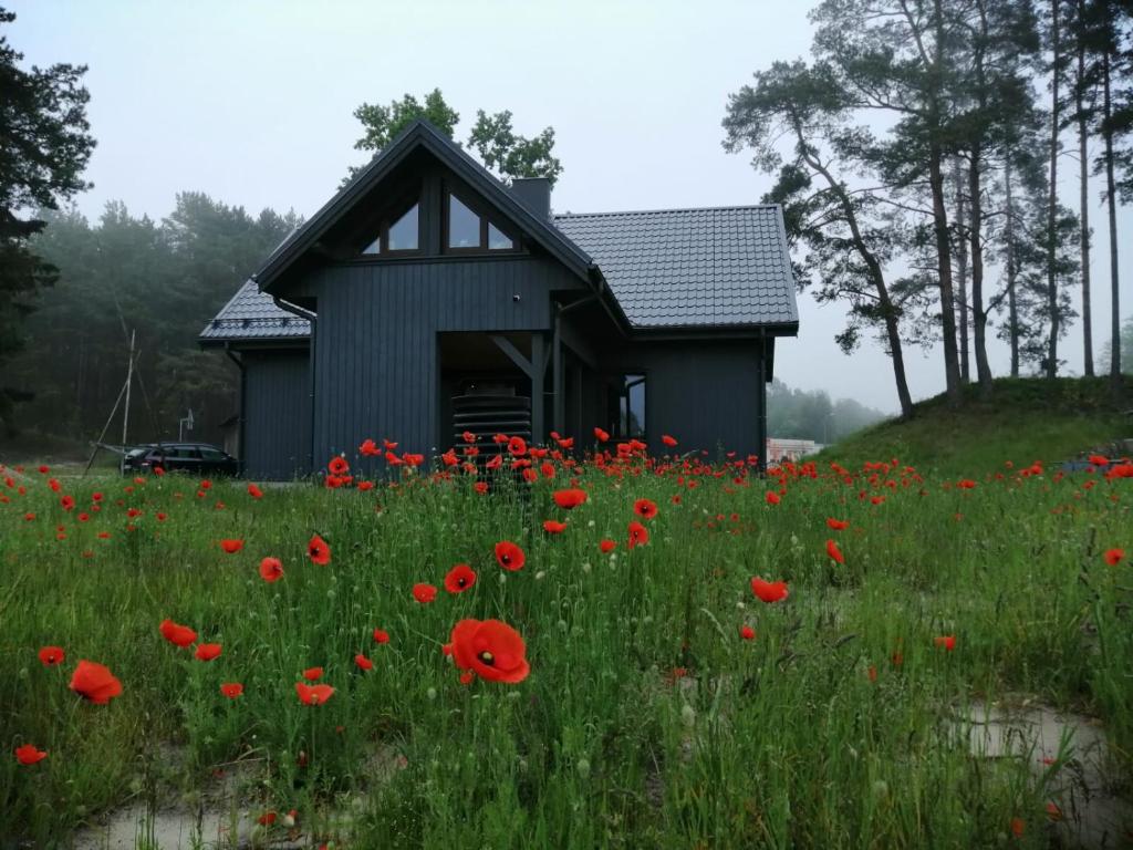 Zahrada ubytování ApartmentApsuciems