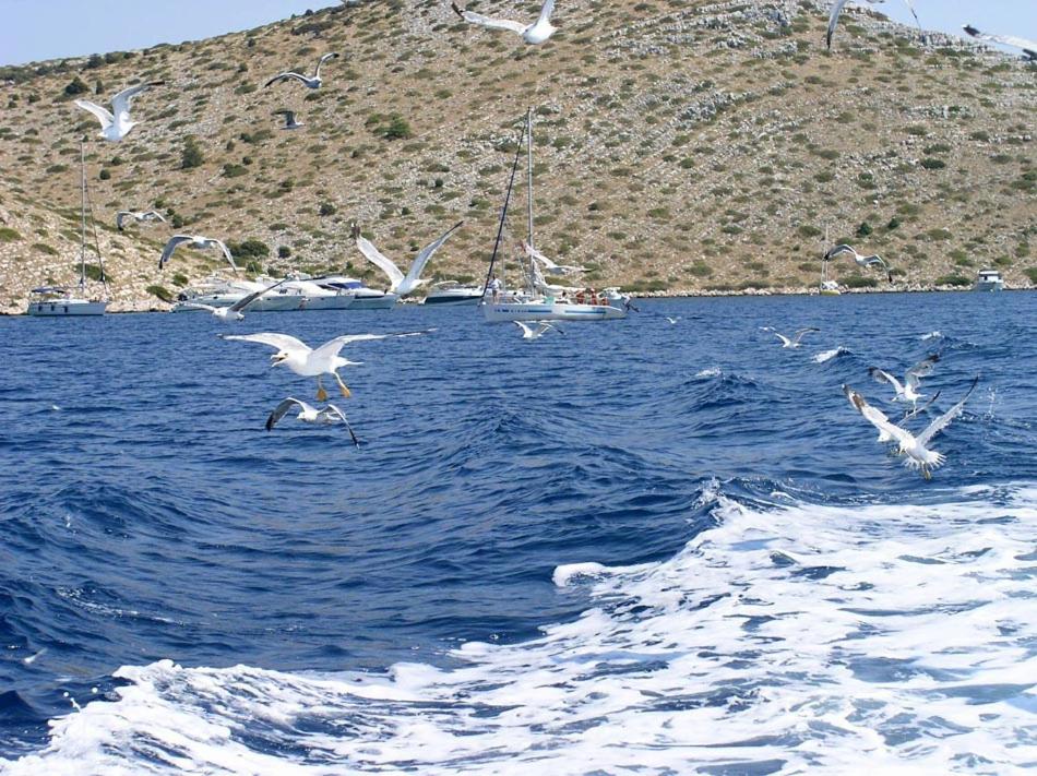 Fotografie z fotogalerie ubytování Holiday home Ana v destinaci Siverić