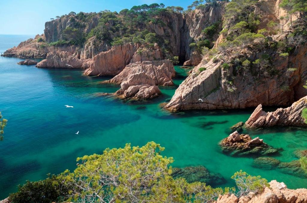 Fotografie z fotogalerie ubytování Piso Victoria v destinaci Sant Feliu de Guixols