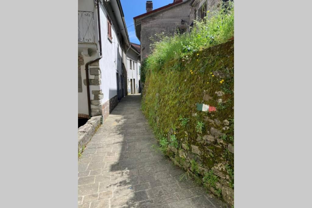 Fotografie z fotogalerie ubytování La Terrazza sulle Apuane v destinaci Fivizzano